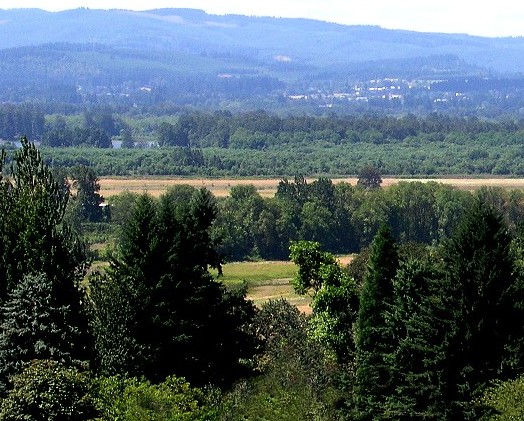 View From Ridgefield Washington (WA) Homes For Sale